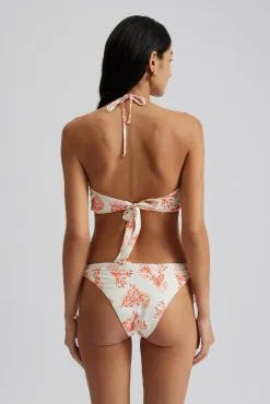 Blanka bikinitrosa